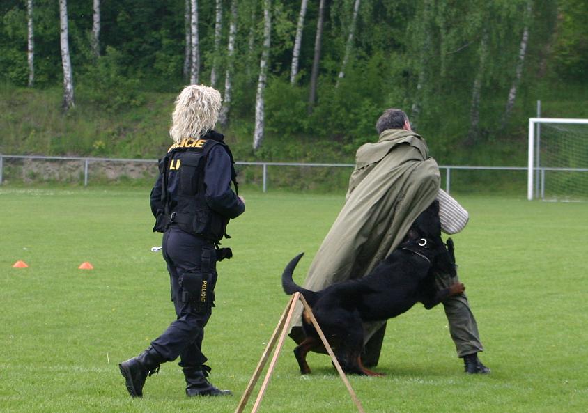 kynologie9.jpg