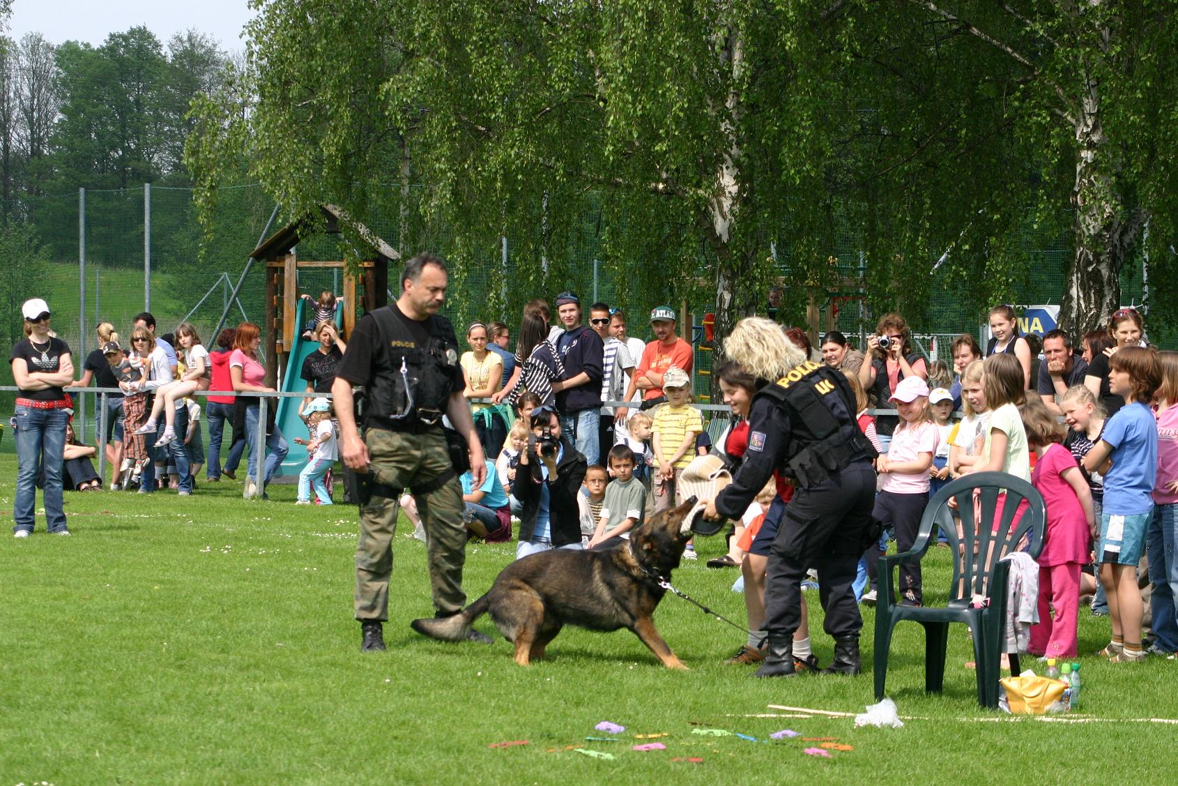 kynologie94.jpg
