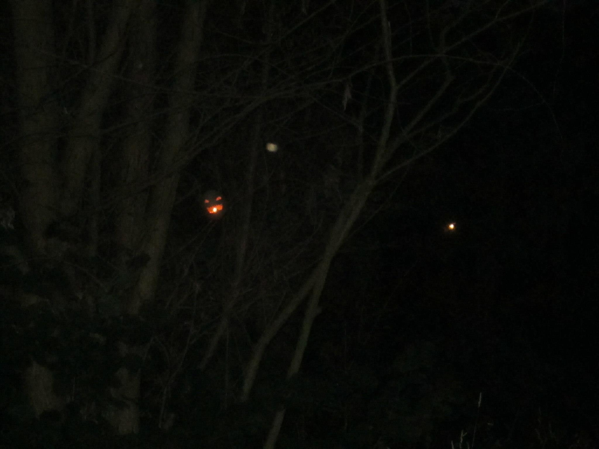 191940_490561697620574_10756546_o